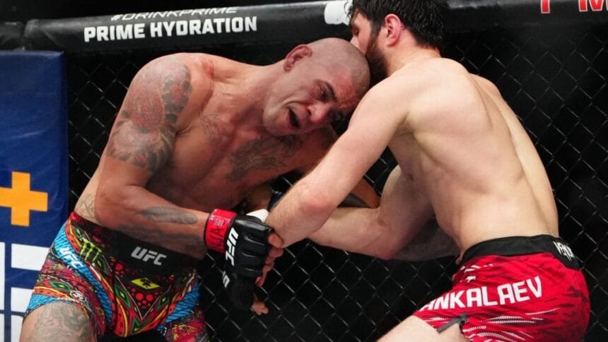 Alex Pereira is working on Grease accusations and Ankaraev at UFC 313