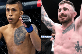 UFC Fighter inspected investigations for illegal gambling