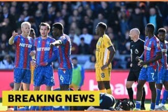 Crystal Palace players