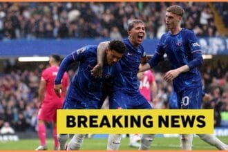 Jadon Sancho, Enzo Fernandez and Cole Palmer celebrate