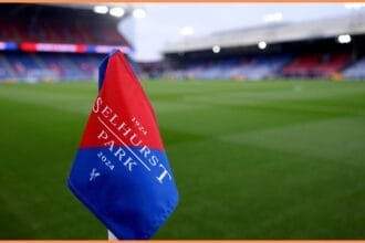 Crystal Palace flag