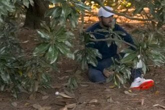 Scotty Schaeffler finished fourth in the Masters, saying "not too far."