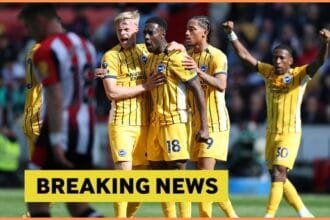 Joao Pedro celebrates with his Brighton teammates