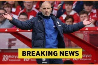 Chelsea has unique qualities like UCL finalists, so they want to sign the 24-year-old.