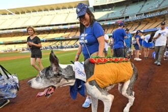 Dodger Dog Ice Cream Helmet Bobblehead: The Sweetest Collectible in Town