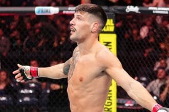 Joel Alvarez 315 fight against Benoit St. Dennis from the UFC