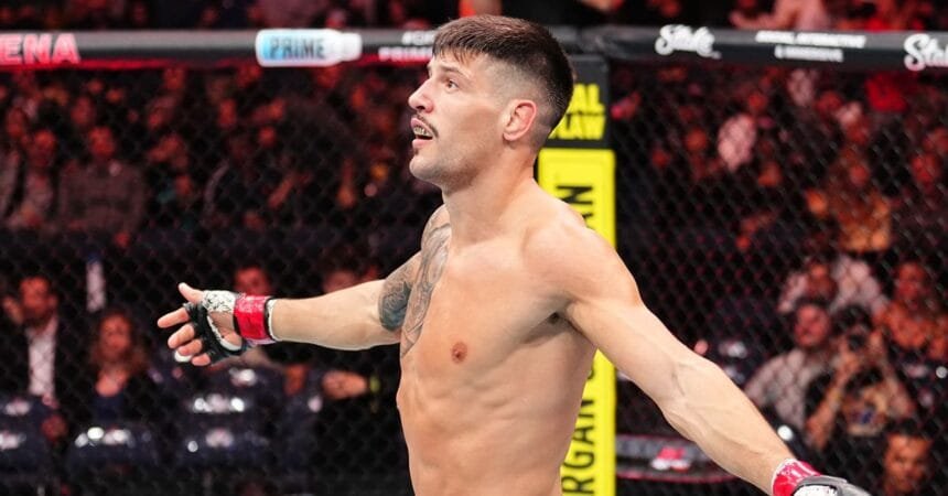 Joel Alvarez 315 fight against Benoit St. Dennis from the UFC