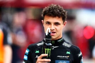 Randnoris refers to Max Verstappen because he is "not very smart."