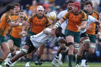 Wallabies Squad: Player by Player Guide to Assisting the British and Ireland Lions