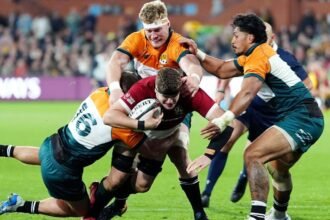 "The Best in the World": The Lions are highly rated, but the former black coach has not ruled out the Wallabies