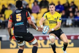 All Blacks coach Robertson gives love to France