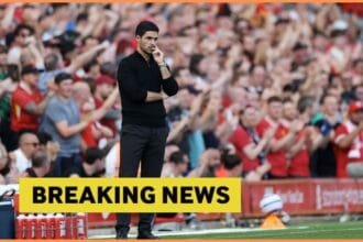 Journalists feel that Arsenal will "lose" players "lost"