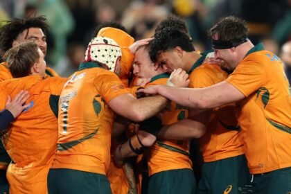 Wallabies pays tribute to their name after navigating the wildest nights of Sydney's night