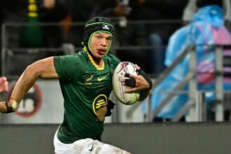 2025 Rugby Championship - How Cape Wineland, a small region in South Africa, produces strange amounts of springbok