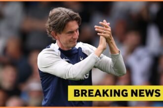 Thomas Frank and yellow