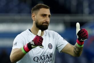 Tim Sherwood expresses doubts about genre Luigi Donnalmer who does well in the Premier League (video)