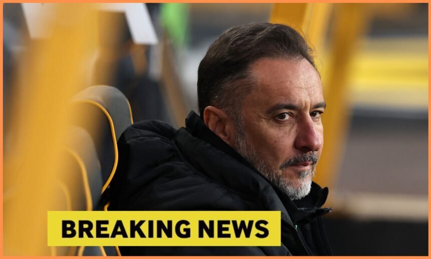 Wolves manager Vitor Pereira