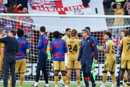 Almost agreed to a nearby Crystal Palace fee to deal with exciting young people