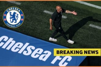 Enzo Maresca during a Chelsea game at the Club World Cup