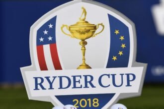 Robert McIntyre and Tyrrell Hutton are building European Ryder Cup teams