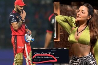 Actress welcomes attention from Virat Kohli with cheerful remark