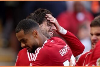 Cody Gakpo celebrates with Dominik Szoboszlai