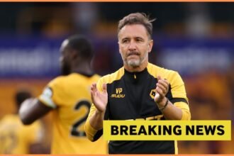 Report: Wolves ready to make the €60 million move to define the season in January