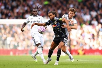 Michael Dawson advances Leeds after Fulham's match