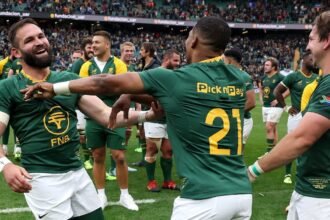 Springboks has "thing to do" ahead of its tour to Europe and the UK in November - Cobus Reinach