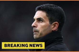 Arsenal manager Mikel Arteta looks on during the Newcastle game