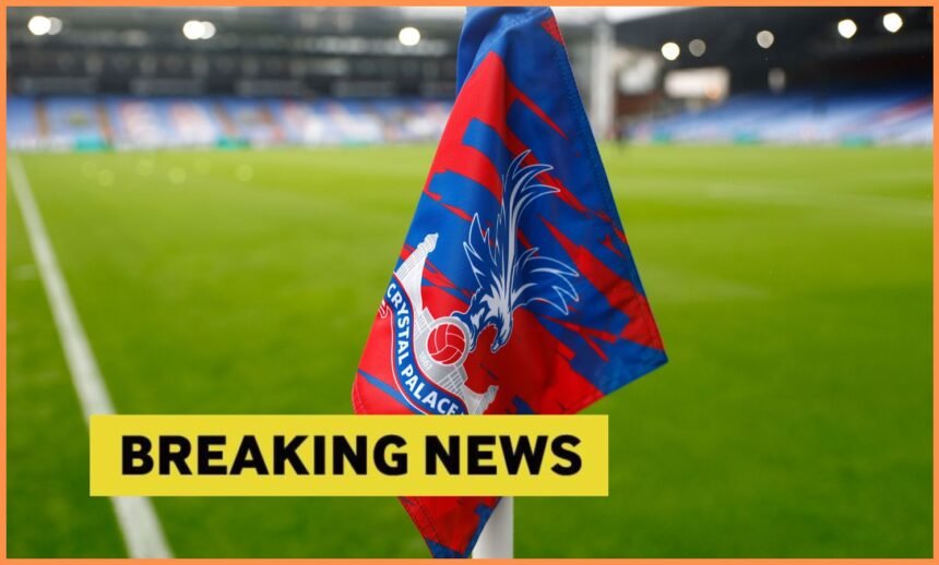 Crystal Palace flag