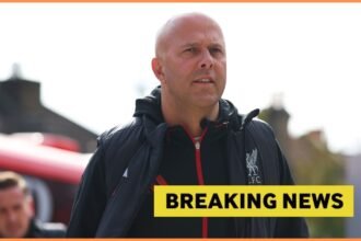 Liverpool manager Arne Slot and yellow