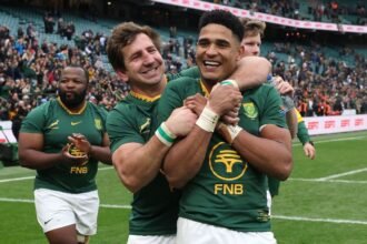 South Africa vs. Japan - Springboks hope to solidify their good year with a win against Japan