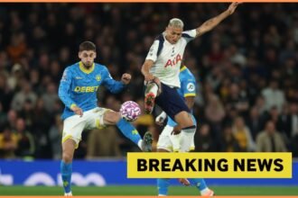 Richarlison in action for Tottenham