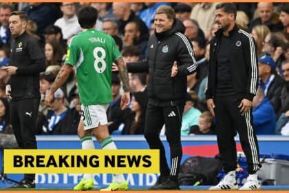 Newcastle agree immediate contract with defender