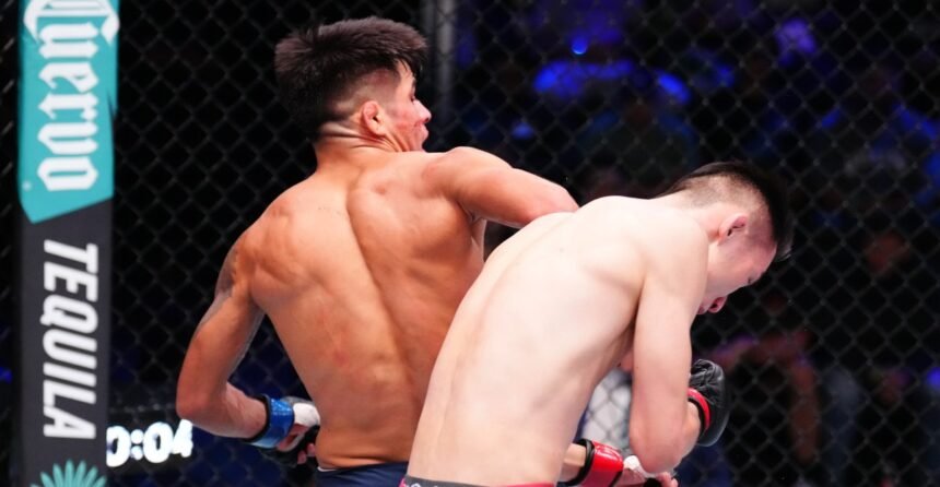 DWCS Season 9, Week 10 Results: Incredible Spinning Back Elbow Knockout Highlights from the Final Week
