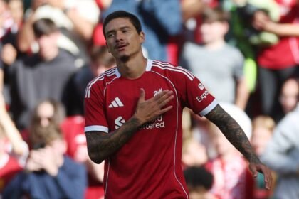 Slotter Luis Suarez currently has 'no offer for Liverpool over Nunez'